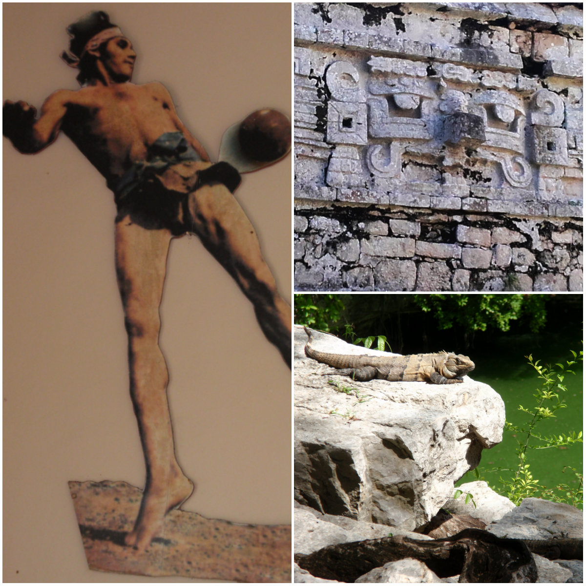 collage-resumen-iconografico