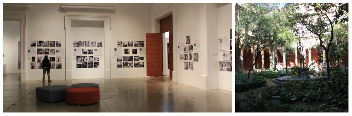 collage el carmen.jpg